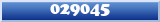 Topic : 029045