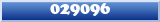 Topic : 029096