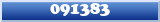 Topic : 091383