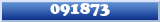 Topic : 091873