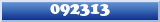 Topic : 092313