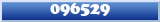 Topic : 096529