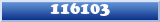 Topic : 116103