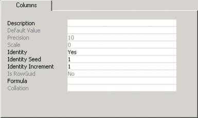 SQL Server Identity