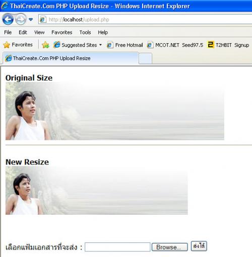 testup testup