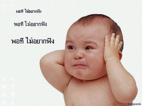 55 55