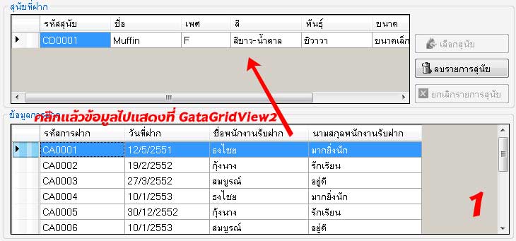 ครั้งเเรก