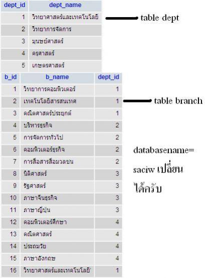 phpmyadmin in database