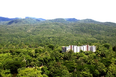condo chiangmai