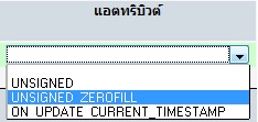 unsigned zerofill