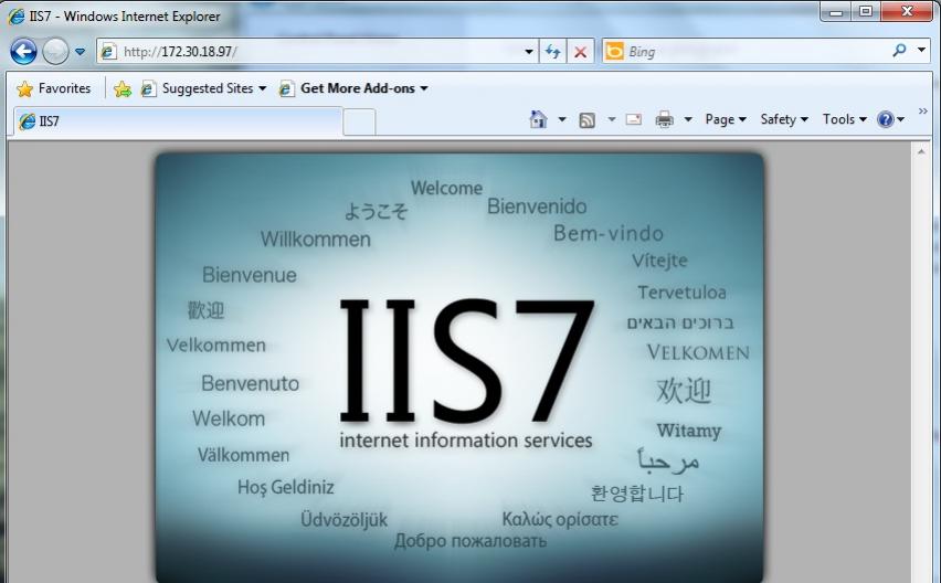 localhost error localhost error