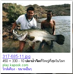 ของ google ของ google