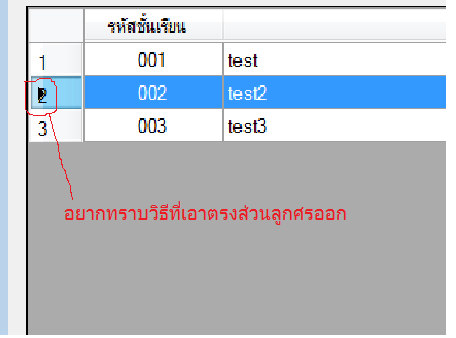 datagrid