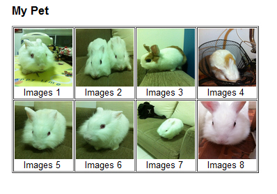 prettyPhoto jQuery lightbox SlideShow prettyPhoto jQuery lightbox SlideShow