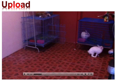 show flash show flash