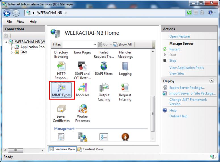 Windows 7 IIS MIME  Type