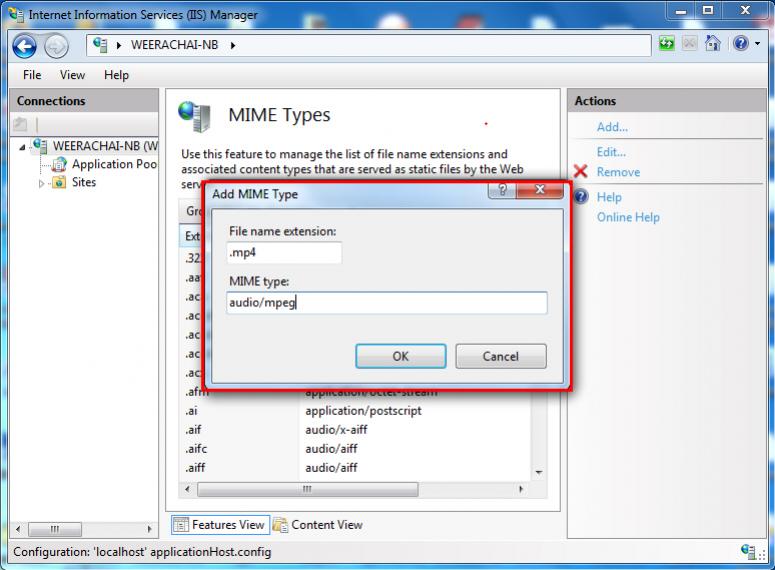 Windows 7 IIS MIME  Type