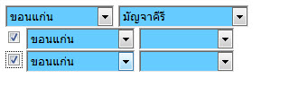 ผลลัพธ์จากการ Check ผลลัพธ์จากการ Check