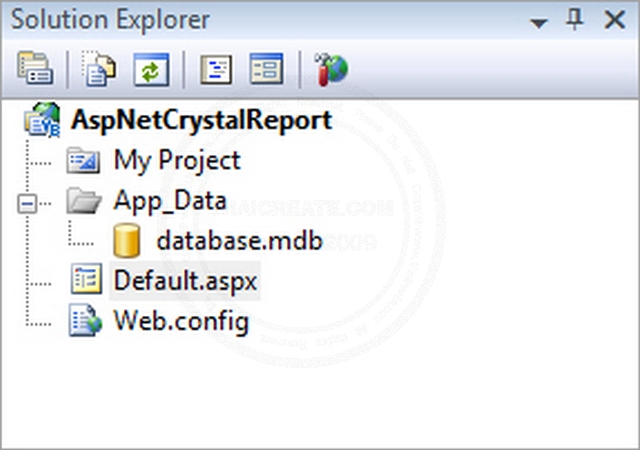 Crystal Report Web(ASP.NET)