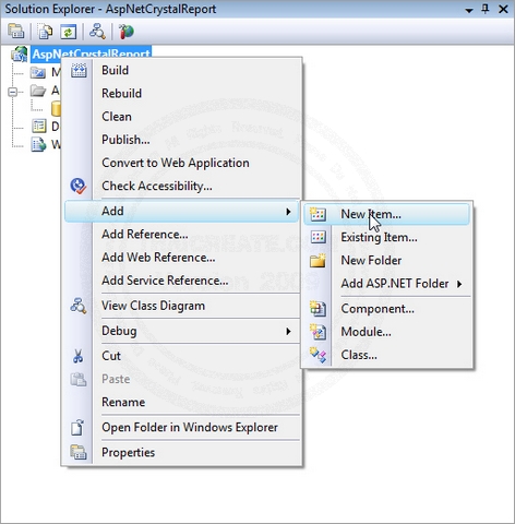 Crystal Report Web(ASP.NET) Crystal Report Web(ASP.NET)
