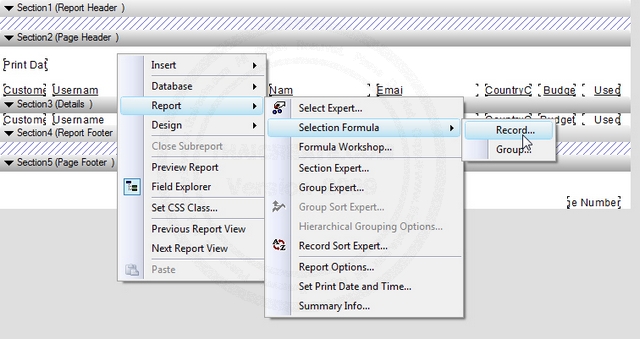 Crystal Report Web(ASP.NET) Crystal Report Web(ASP.NET)