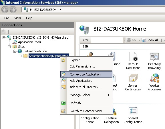 IIS Convert Application
