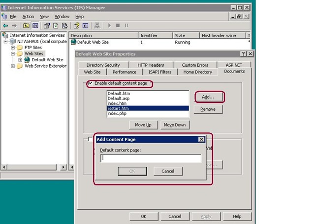 IIS Default Start Up Document