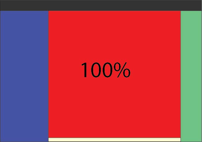 css100%