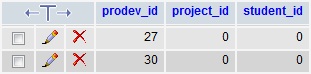 pro_developer pro_developer