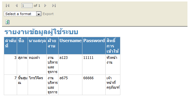 Report Viewer