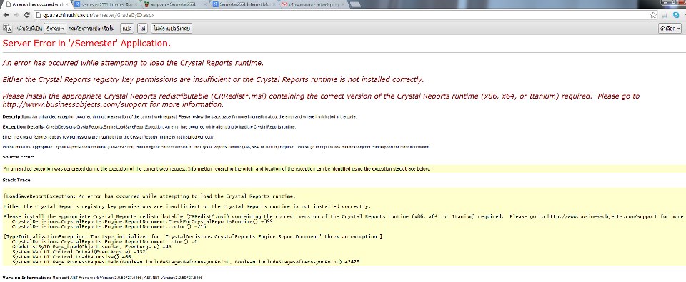 Error Print Report