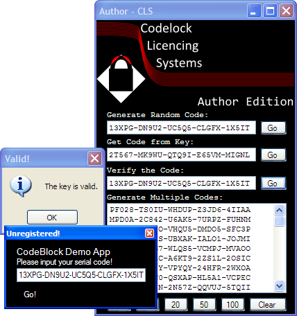 .NET ไม่เข้าใจเกี่ยวกับการสร้าง DLL เพื่อรองรับ CD-KEY VB 2008