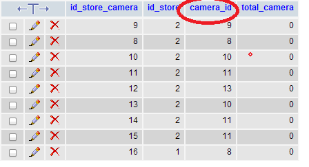 store_camera