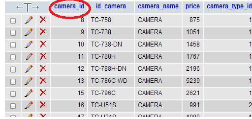 camera