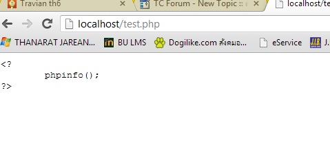 ภาพนี้พอกดเข้าไฟล์ phpผ ผ่าน localhost