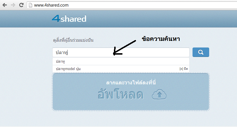 4shaed1