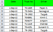 excel format