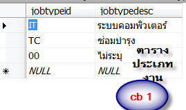ข้อมูล Combo 1 ข้อมูล Combo 1