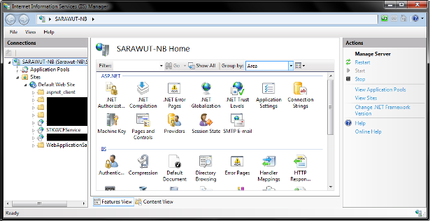 iis