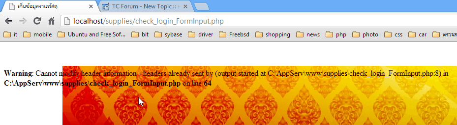 error หน้าเวป