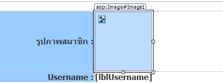 ปแป