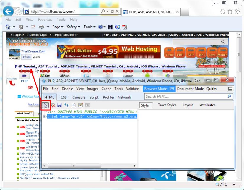 IE Developer Tools
