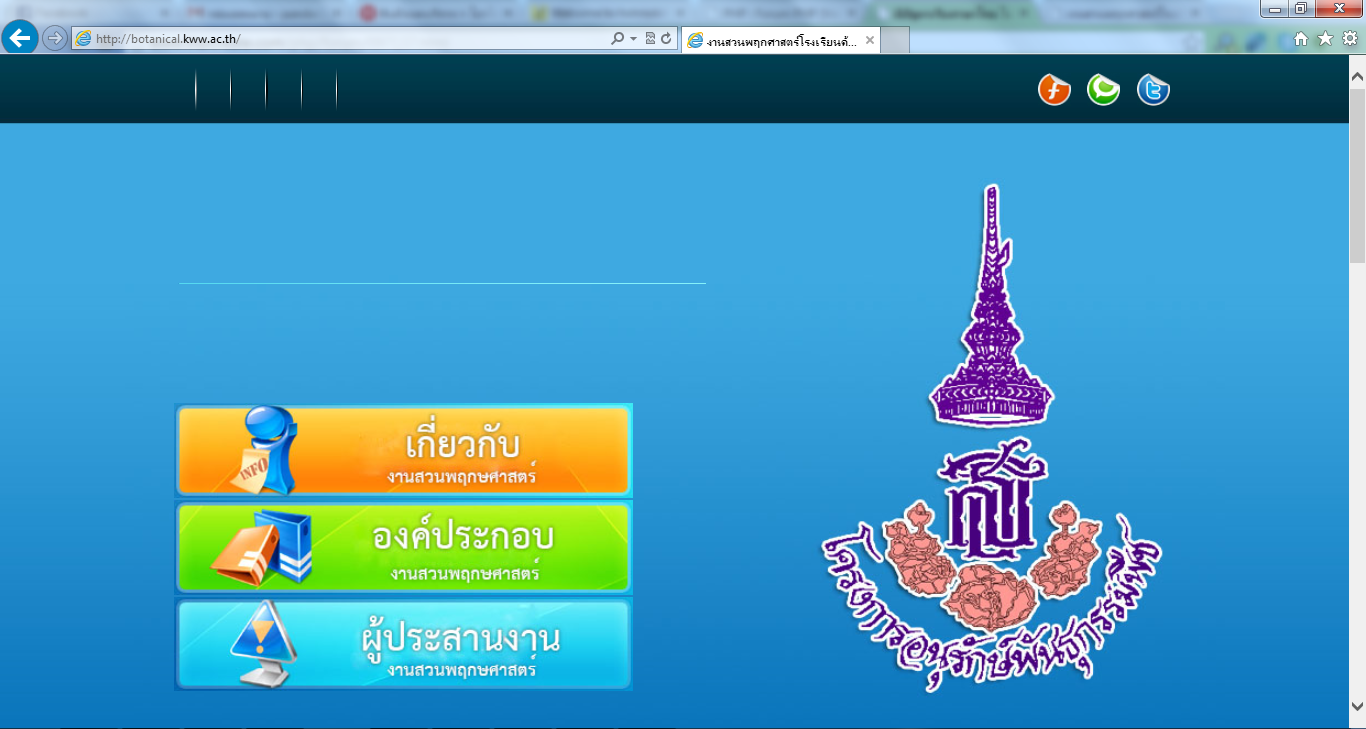 เข้าจาก IE