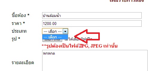 ไม่แสดงผล