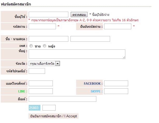 ตัวอย่าง 