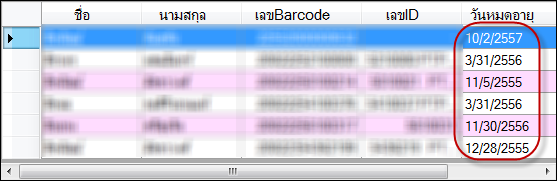 datagridformatt