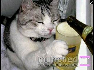 myCATLOSTED myCATLOSTED