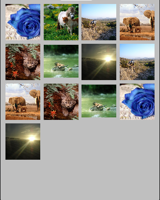 image_gallery image_gallery