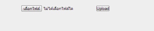 รูปที่1