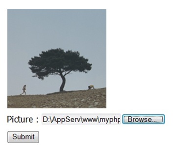 browse